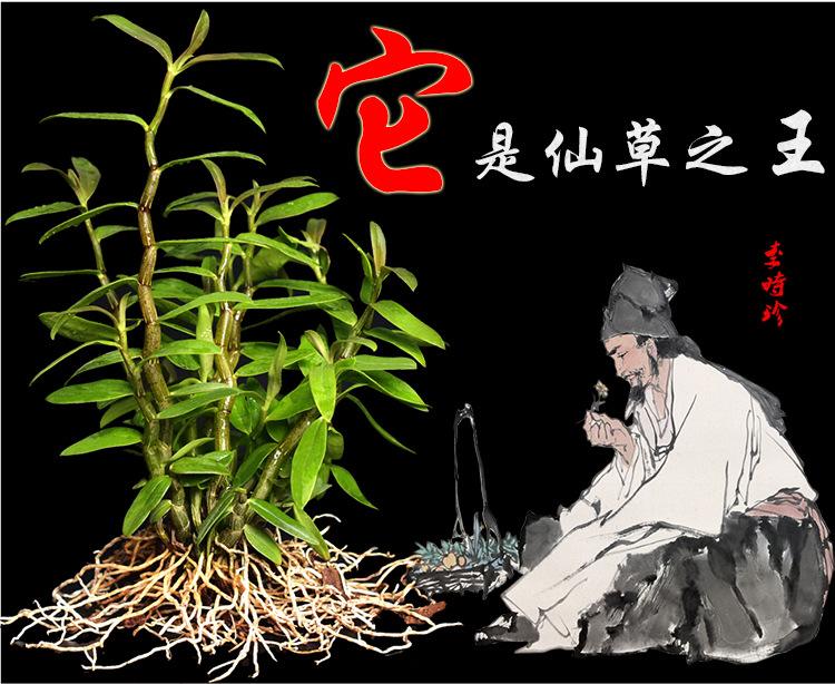 仙草币虚拟币(仙草币虚拟币是什么) 仙草币虚拟币(仙草币虚拟币是什么)